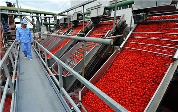 رب گوجه فرنگی با بسته بندی حلبی | قیمت عالی