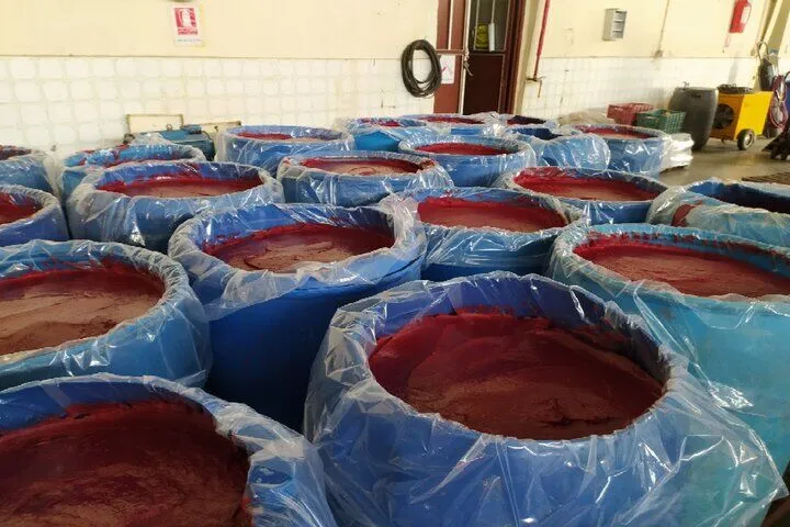 خرید رب گوجه فرنگی دبه ای + بهترین قیمت