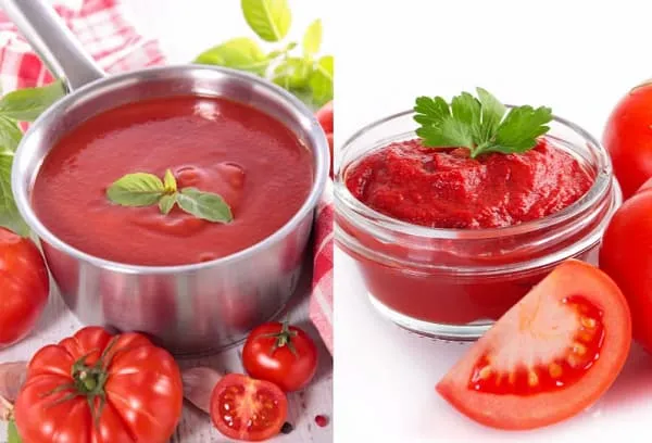 رب گوجه فرنگی با بسته بندی حلبی | قیمت عالی